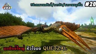 Ark Mobile พาจับนกยักษ์เเบบง่ายๆกับวิธีเสกนกยักษ์ #20 |Quetzal