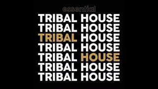 Master At Work  Brazilian Beat tribal Mix