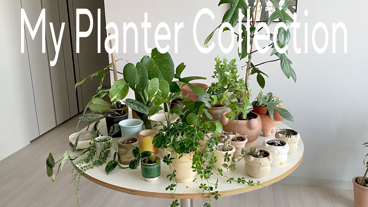 Plant Pot Tour🪴 국산 수제 토분 소개, 저렴이 토분, 플라스틱 슬릿분 등