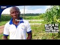 Tmoignage  campagne de mas mastrop chez mas seeds en cte divoire