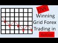 Forex Grid trading is a clear winning technique. See the LIVE client trading results & how it works