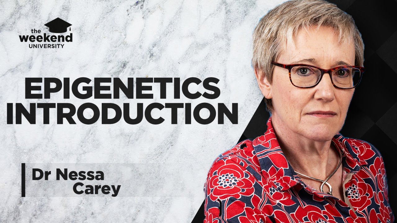 Epigenetics: An Introduction – Dr Nessa Carey