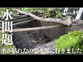 【山暮らしの現実】土砂で詰まった水源/荒地を畑にする#48