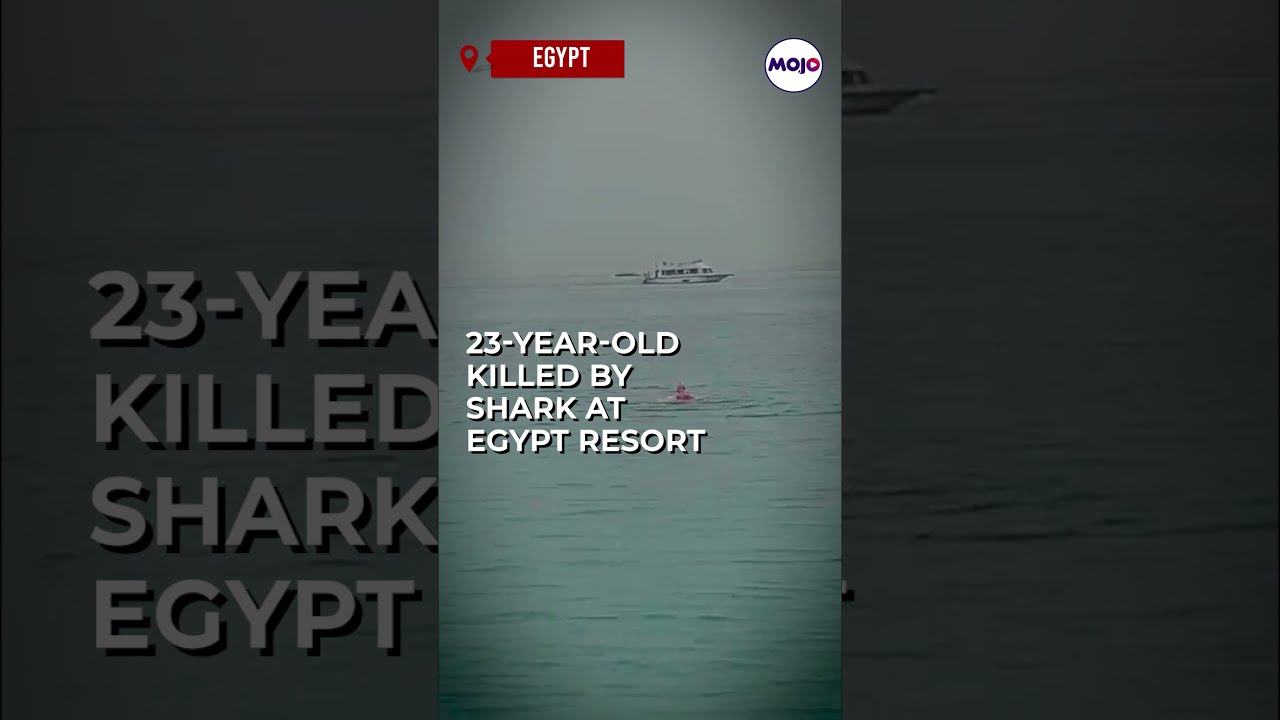 Viral Video Russian Man Eaten Alive By Tiger Shark In The Red Sea Shorts