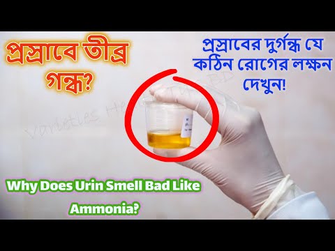 ভিডিও: গন্ধ কী?