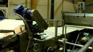 Soft Sugar Cookie Production 1.AVI
