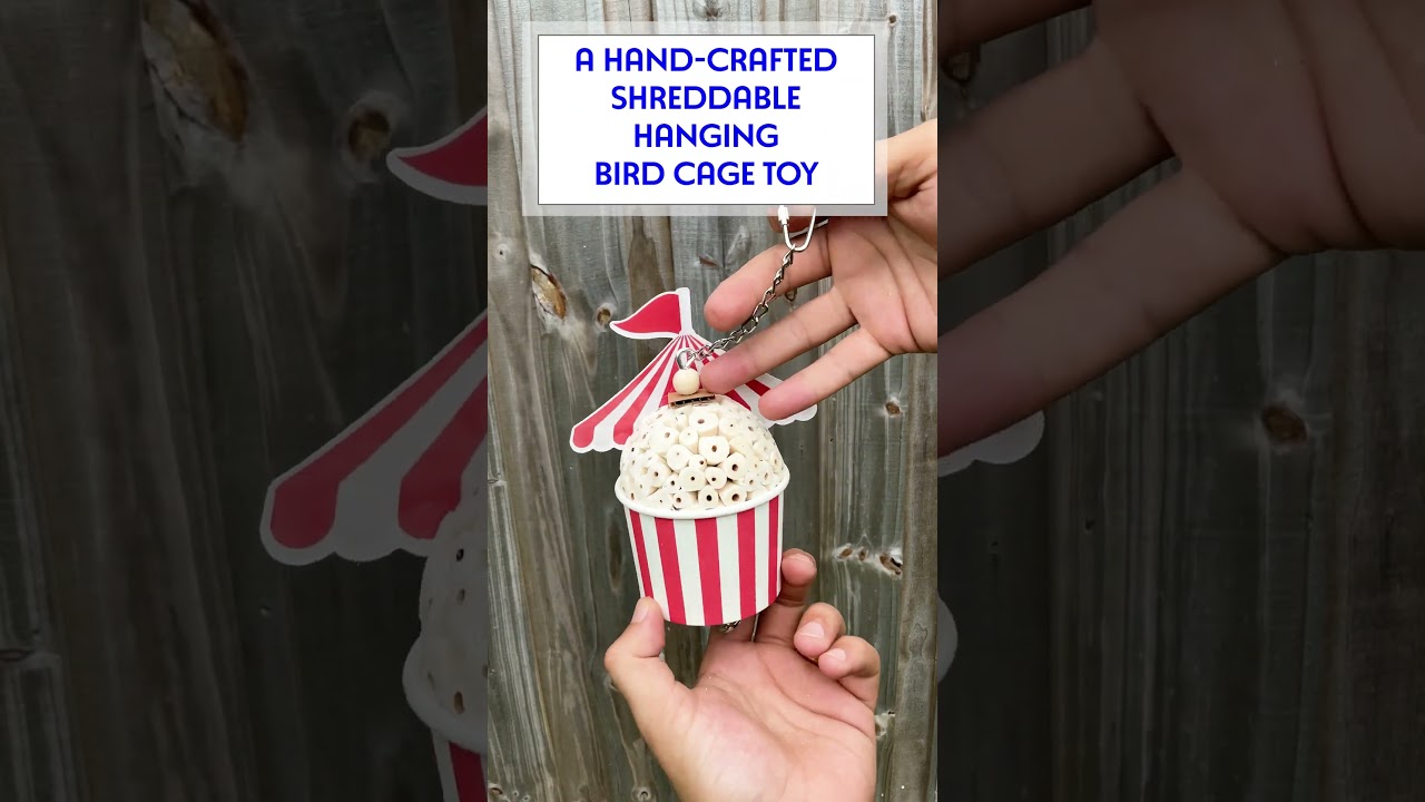 1595 Sola Circus Cup M&M Bird Toys Shortie 4k