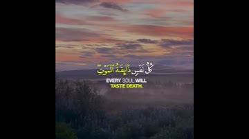 كل نفس ذائقة الموت القارئ عبد الرحمن مسعد 💔🌧️