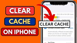 How To Clear Cache in iPhone | iPhone 11 Pro Max / 14 Pro Max / 13 / 12 / 15 Pro Max / 7 / 8 Plus