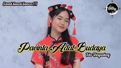 DJ SOUND GAWAI - Pacinta Adat Budaya (Tebo Rinyuakng) Remix Fullband Dayak Gacorr