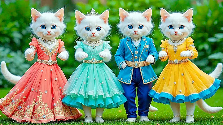 Video 11777301: kittens cat dance funny, cutest funniest cat dance, funnycatvideos