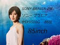 Sony BRAVIA❸ Z9H 85inch ソニー ブラビア 9500G 85型 ｶﾀﾛｸﾞ絵巻1 S/N041