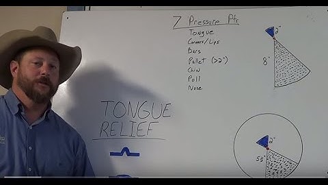 A Bit About Bits Part 3: Leverage Bits, Tongue Relief, Shanks and Balance