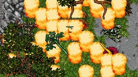 New Area & Quests: Entrance to the Plains of Gold - Outcastserver.com Open-Tibia 7.6