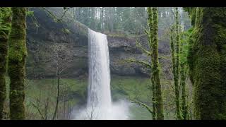 Waterfall in the Forest by  CUTE ANIMALS TV 226 views 2 years ago 13 seconds