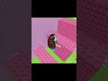 Essa ta difícil 🤭 #roblox #obby #vem11k