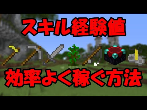 スキル経験値を効率よく稼ぐ方法 ハイピクセル スカイブロック Youtube スキル経験値を効率よく稼ぐ方法 ハイピクセル スカイブロック Youtube