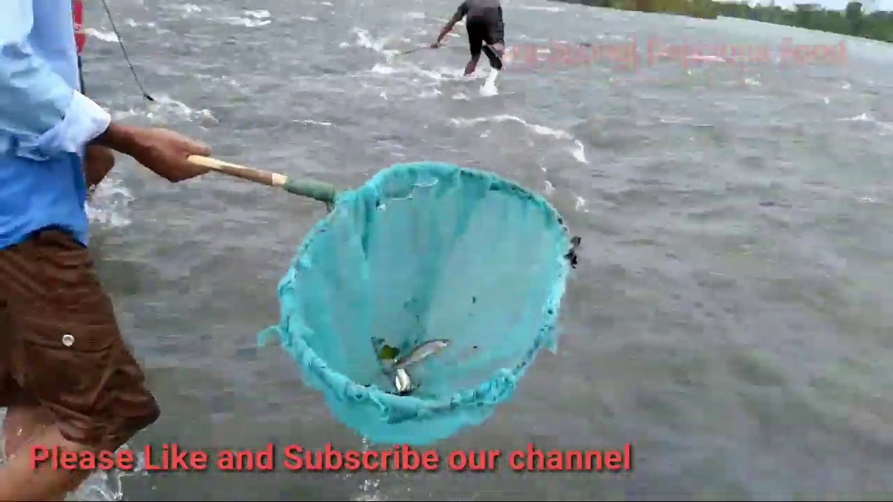 Best Fishing Technique In Current Water. - YouTube