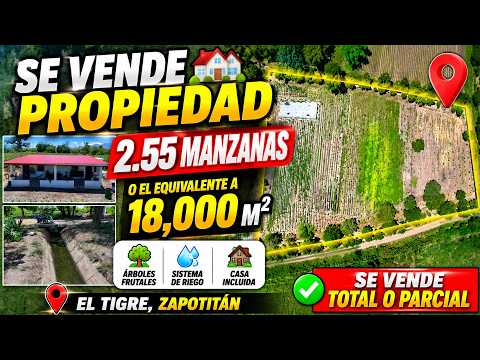 Land for Sale with Irrigation System and Fruit Tree Plantation, House Included, Zapotitan
