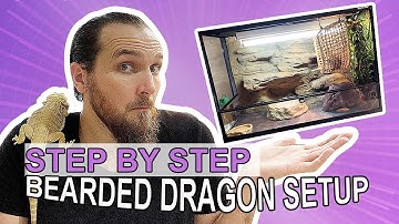 How to Setup A Bearded Dragon Enclosure - Cookies Critters