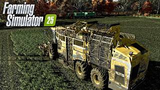 Zuckerrüben | Ernte mit ROPA Tiger 6S auf der Diepholz 25 | LS25 ReShade