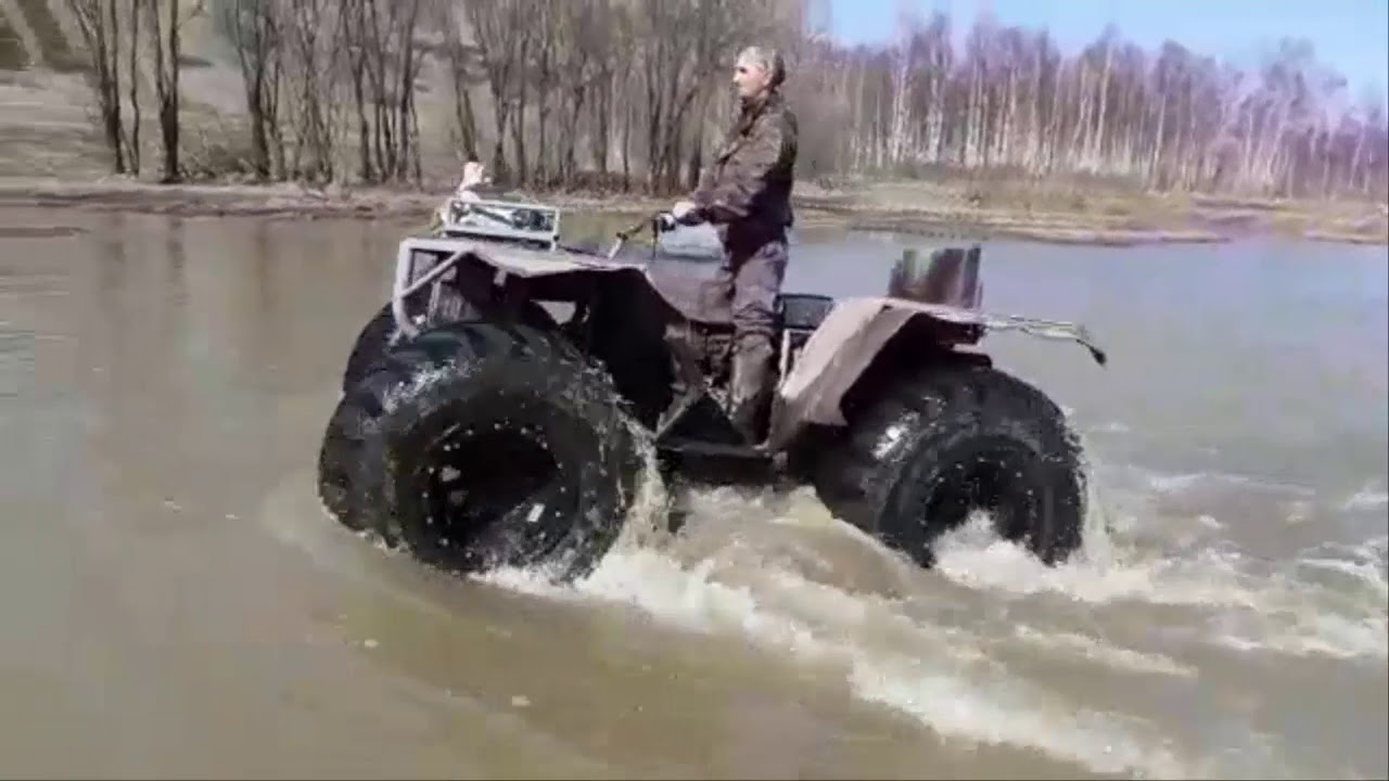 Беркут авто ингушетии