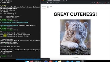 Sapper - Get/Post Data (How to build an API)