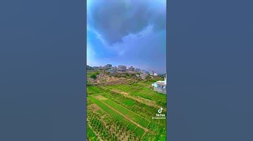 تلاوة جميلة من القارئ غالب جسار