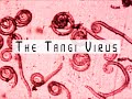 The Tangi Virus (The Complete Analog Horror Saga)