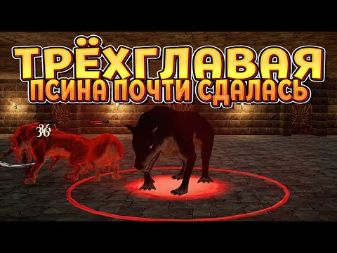 Видео: МУТИМ ДВА НОВЫХ МЕЧА ( Portal Dungeon: Goblin Escape )