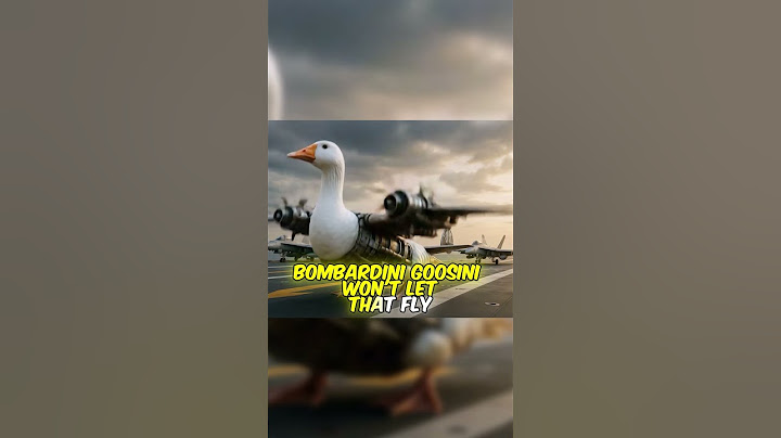 bombardino crocodilo vs bombardini goosini