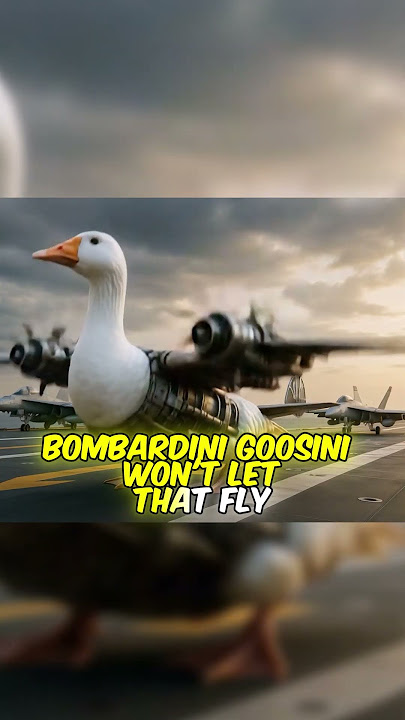 bombardino crocodilo vs bombardini goosini