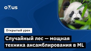 Случайный лес - мощная техника ансамблирования в ML // Демо-занятие курса «Machine Learning»