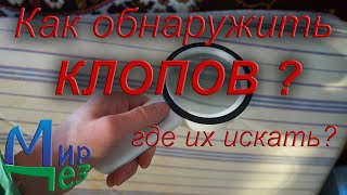 Как обнаружить клопов? Где они прячутся? Какие признаки указывают на их наличие? Советы Мир Дез