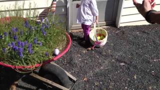 Riley Easter Egg Hunt
