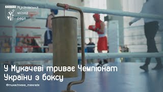 У Мукачеві стартував Чемпіонат України з боксу серед юнаків та юніорів