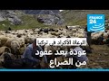 الرعاة الأكراد يعودون إلى مراعيهم في هكاري بعد عقود من الصراع الرعاة الأكراد يعودون إلى مراعيهم في هكاري بعد عقود من الصراع