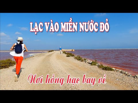 KỲ LẠ CÁNH ĐỒNG MUỐI ĐỎ AU Ở MIỀN NAM NƯỚC PHÁP | DU LỊCH KHÁM PHÁ THÔN QUÊ NƯỚC PHÁP| KỲ LẠ CÁNH ĐỒNG MUỐI ĐỎ AU Ở MIỀN NAM NƯỚC PHÁP | DU LỊCH KHÁM PHÁ THÔN QUÊ NƯỚC PHÁP|