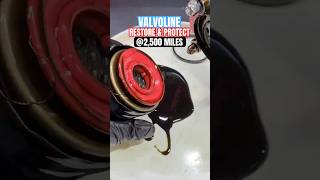 Valvoline Restore & Protect Oil Filter #valvoline #cars #oilchange