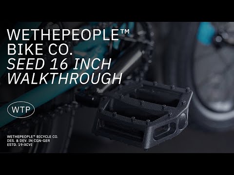 We the people 16 new arrivals