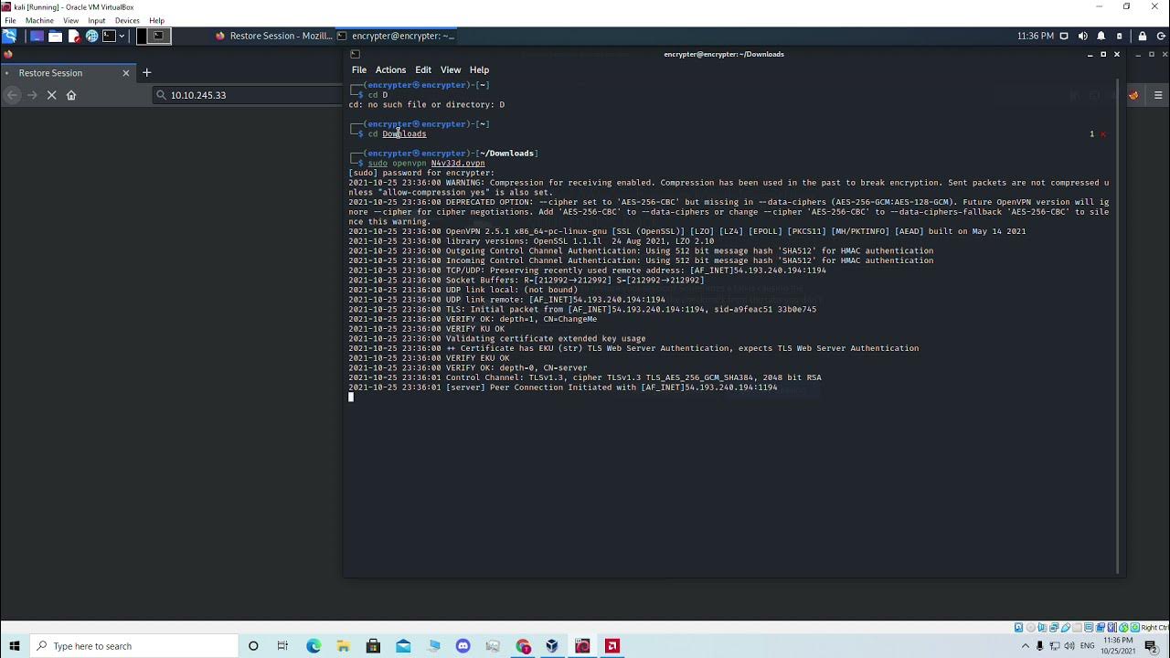 Basic XSS TryHackme Bypassing Basic Filters Cross Site Scripting Bypass Walkthrough basic-xss-tryhackme-bypassing-basic-filters-cross-site-scripting-bypass-walkthrough