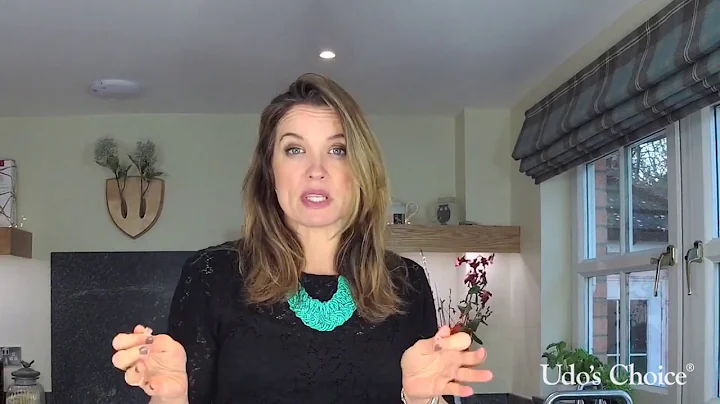 Improving your Gut health with Amanda Hamilton and Udo's Choice