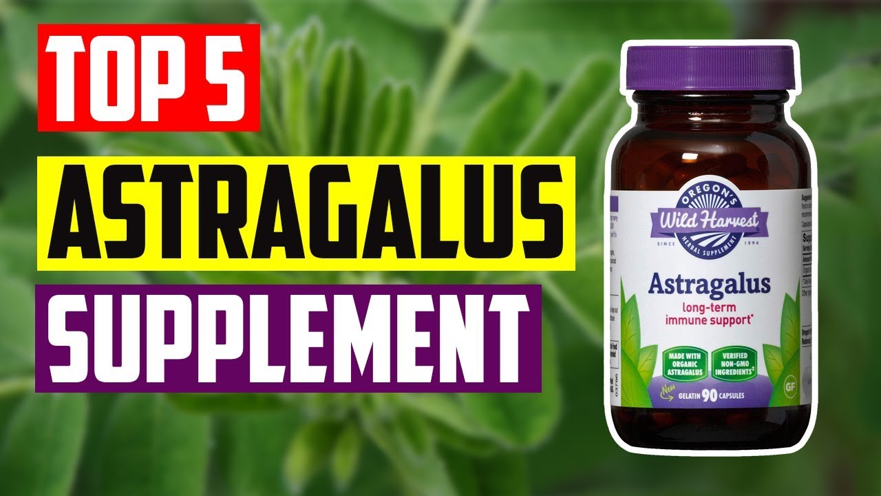 Best Astragalus Supplement Top 5 Best Astragalus Supplement for Immunue