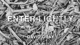 David Gray - 'Enter Lightly' (Official Audio) chords