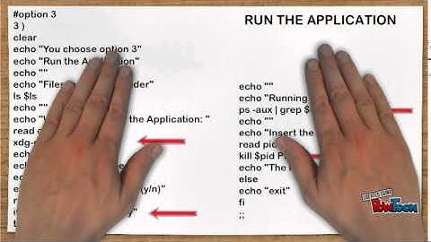 Linux Final Project: Shell Scripting