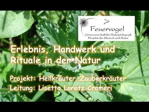 Video: Zauberkräuter Auf Dem Buchstaben 