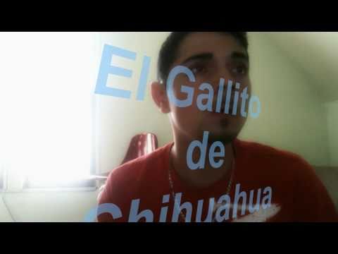 Luis Josue- El Gallito de Chihuahua-Namiqu...  Cua...