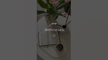 تلاوه خاشعه من سوره الجاثية للشيخ ماهر المعيقلي