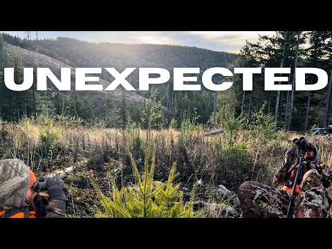 Blacktail Hunting Western Washington 2025 ( Wasn't Expecting That!!! )