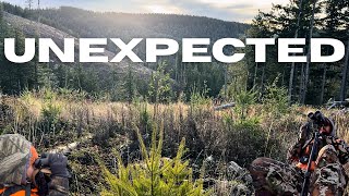 Blacktail Hunting Western Washington 2025 ( Wasn't Expecting That!!! )